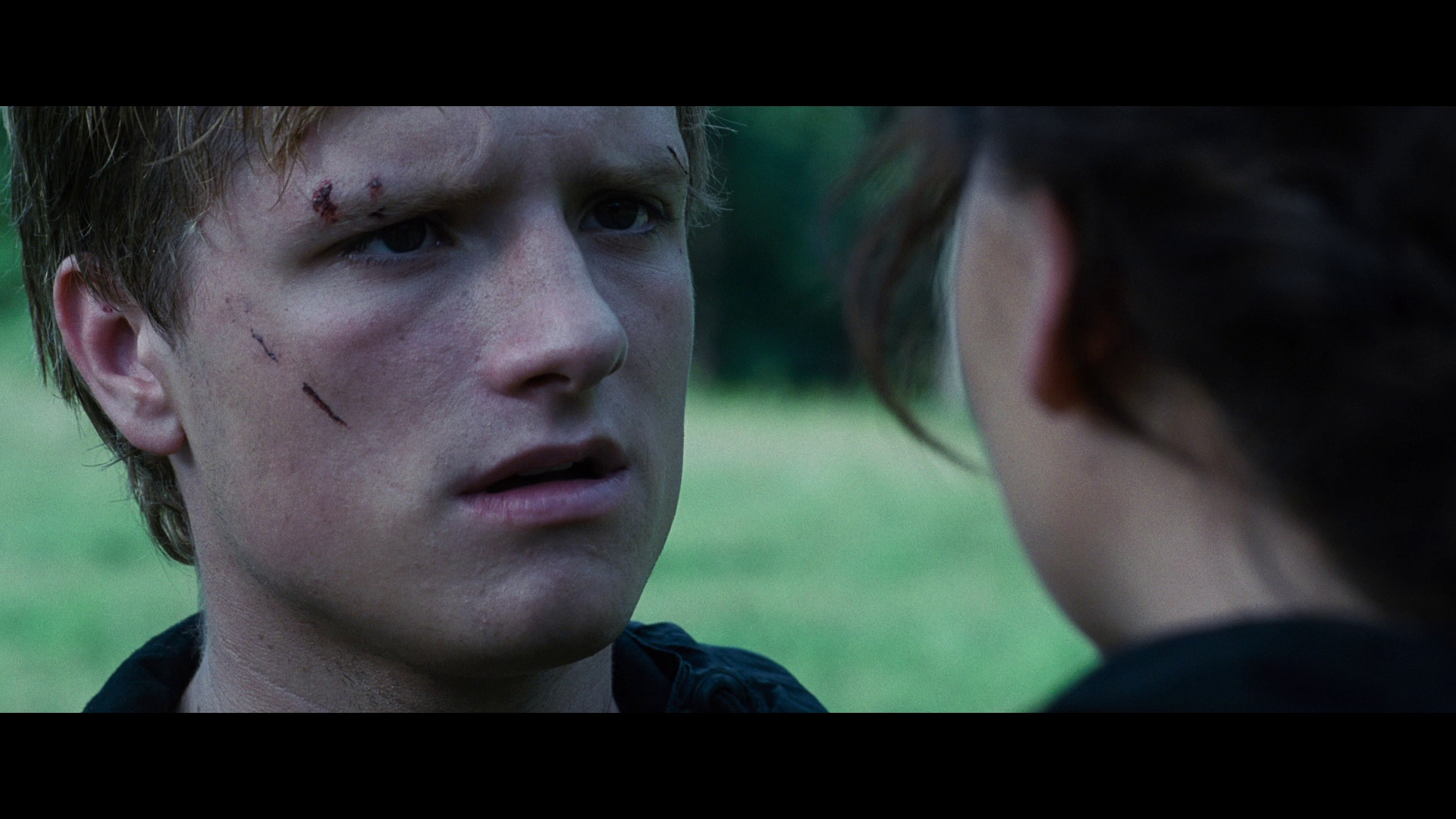 download the hunger games movie torrent