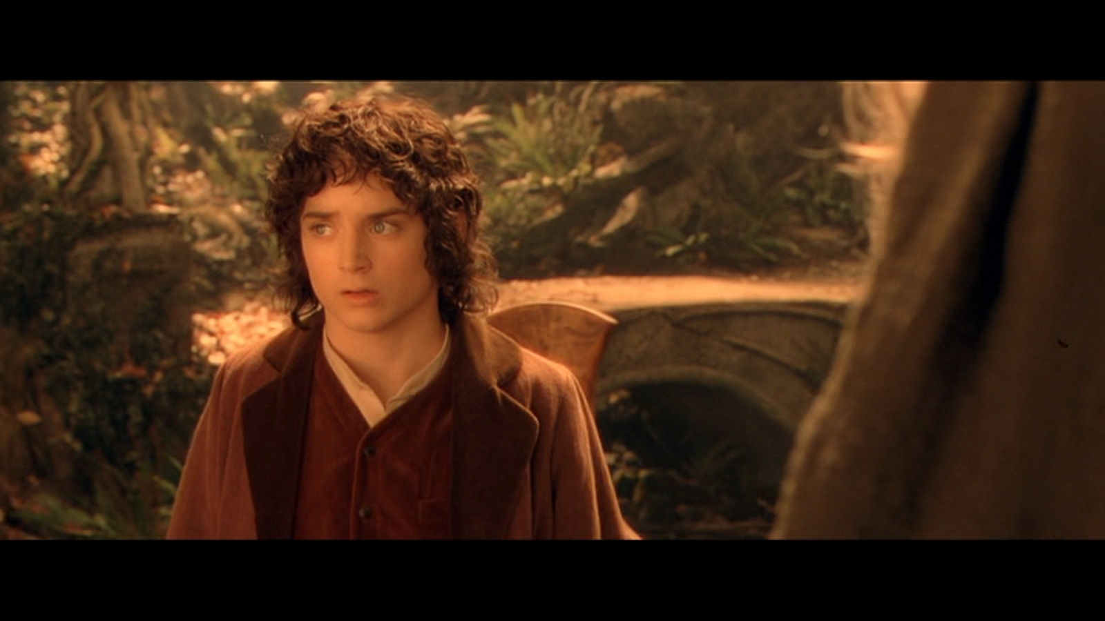 The Lord of the Rings: The Fellowship... for mac download