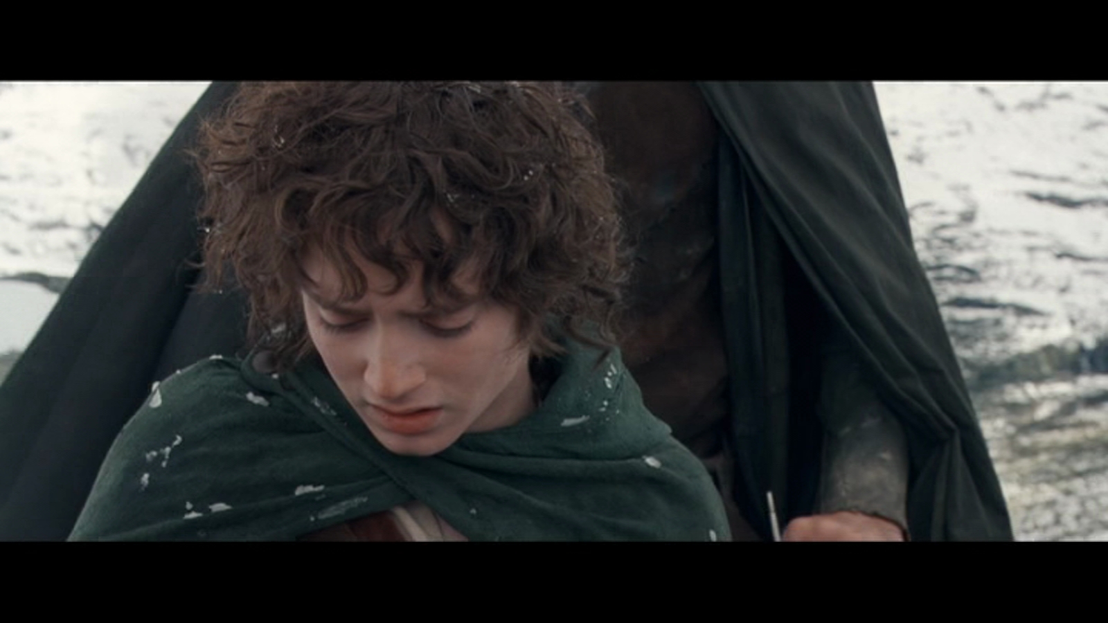 The Lord of the Rings: The Fellowship... instal the new version for windows
