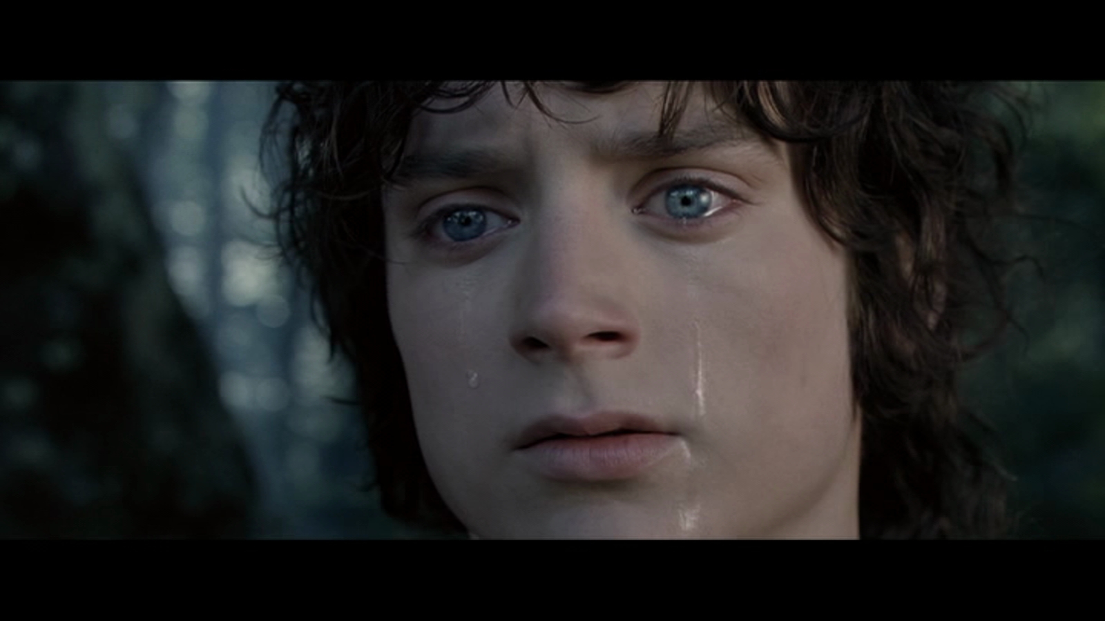 free instal The Lord of the Rings: The Fellowship…